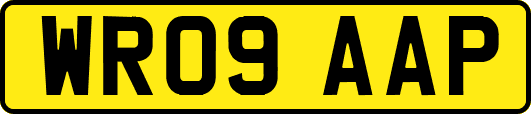WR09AAP