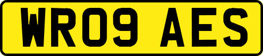 WR09AES