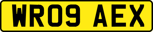 WR09AEX