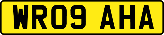 WR09AHA
