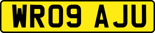 WR09AJU
