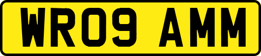 WR09AMM