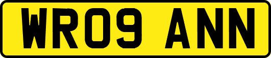WR09ANN