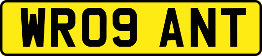 WR09ANT
