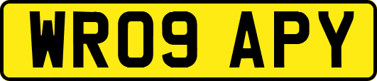 WR09APY