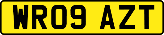 WR09AZT