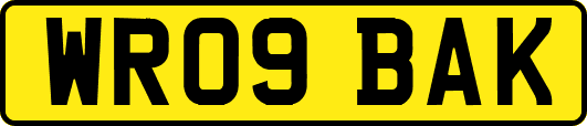 WR09BAK