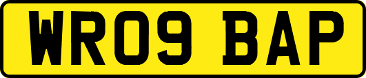 WR09BAP