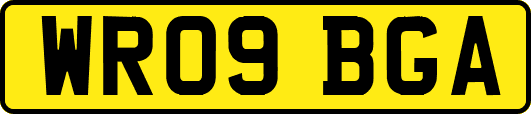 WR09BGA