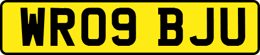 WR09BJU
