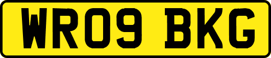 WR09BKG