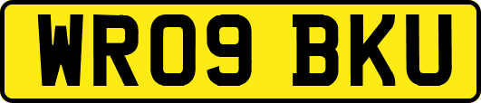 WR09BKU
