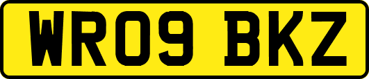 WR09BKZ