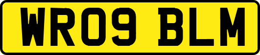 WR09BLM