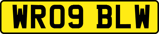 WR09BLW