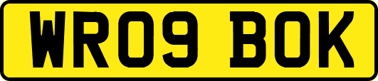 WR09BOK