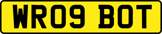 WR09BOT