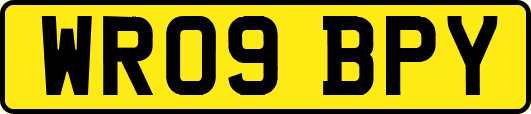 WR09BPY
