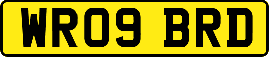 WR09BRD