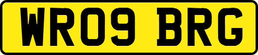 WR09BRG