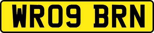 WR09BRN
