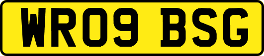 WR09BSG
