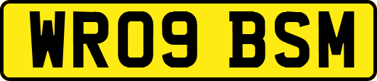 WR09BSM