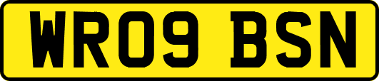 WR09BSN