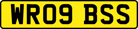 WR09BSS