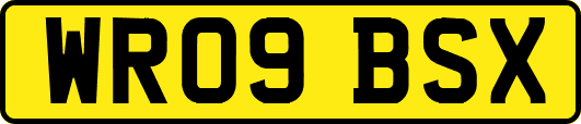 WR09BSX