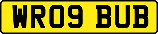 WR09BUB