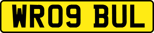 WR09BUL