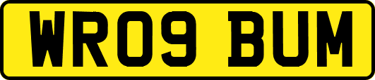 WR09BUM