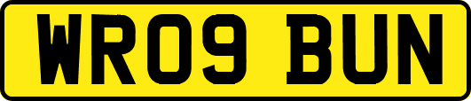 WR09BUN