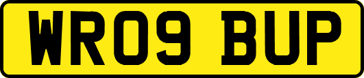 WR09BUP