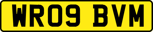 WR09BVM