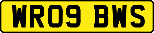 WR09BWS