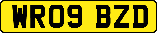 WR09BZD