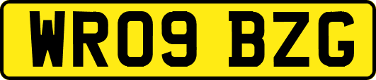 WR09BZG