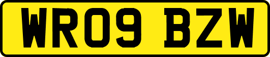 WR09BZW