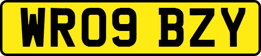 WR09BZY