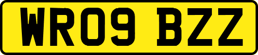 WR09BZZ