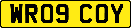 WR09COY
