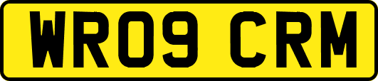 WR09CRM