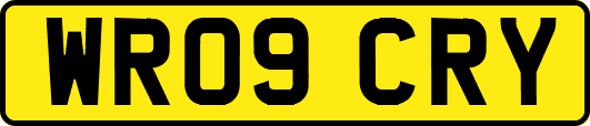 WR09CRY