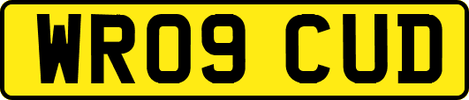 WR09CUD