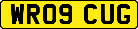 WR09CUG