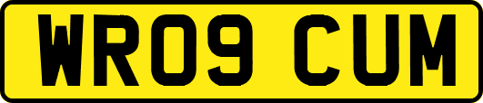WR09CUM