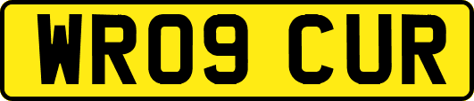 WR09CUR