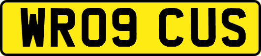 WR09CUS